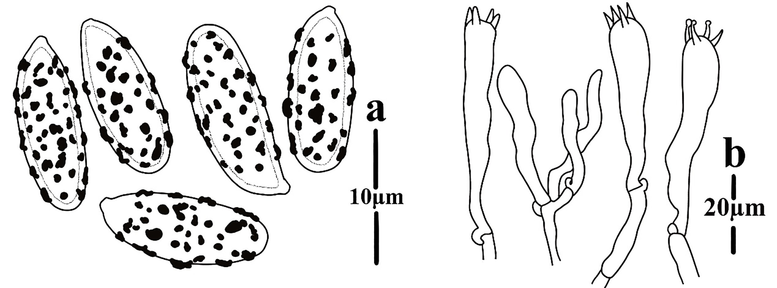 Figure 99